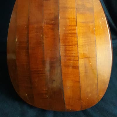 German Lute-guitar (1930) image 2