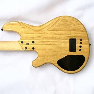 LAKLAND SKYLINE 4401 SPALTED MAPLE W/ROSEWOOD *IN STOCK** image 2