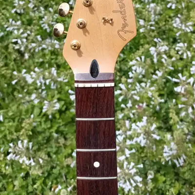 Fender Deluxe Stratocaster Neck Rosewood Project image 1