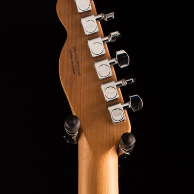 Fender American Custom LTD Walnut Roasted Telecaster (869) image 6