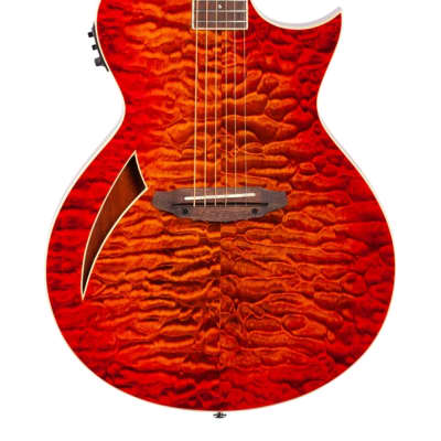 ESP LTD TL6QM Acoustic Electric Thinline Guitar Tiger Eye image 3