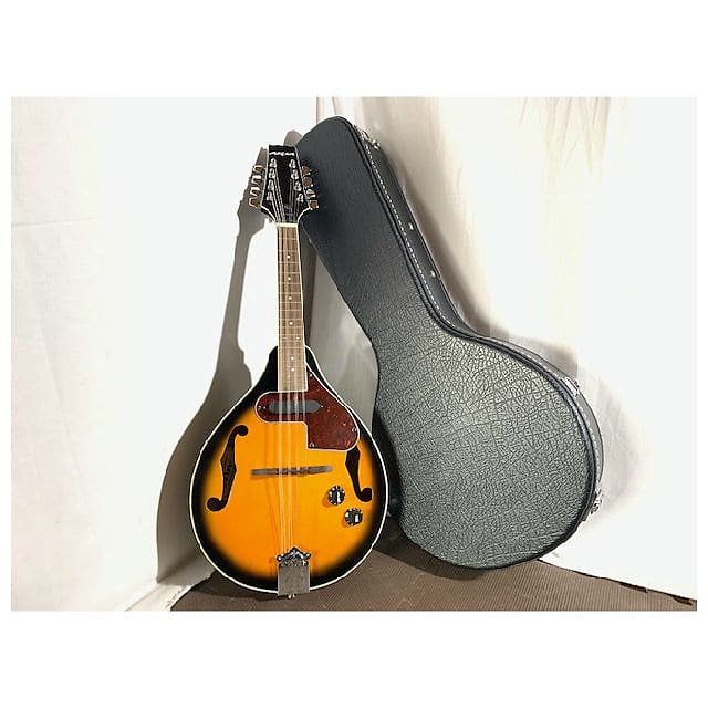 ★Aria★AM-20E★MANDOLIN★管G-0001