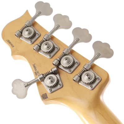 Freedom Custom Guitar Research Rhino 5st Alder (Mummy) Mod. [USED] image 6