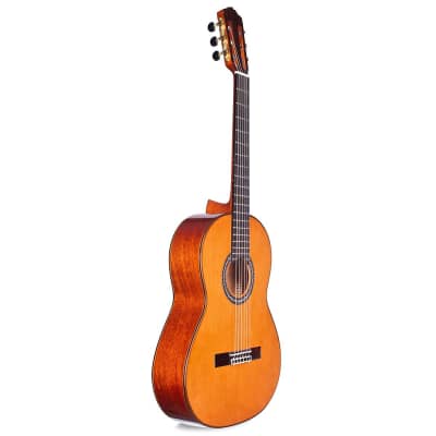 Cordoba C9 Parlor 7/8-Size Nylon-String Classical Acoustic Guitar(New) image 7