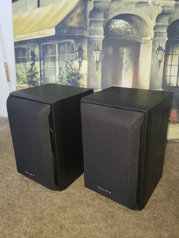 SONY SS-B1000 [ペア] レビュー評価・評判 - 価格.com