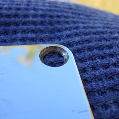 Chrome Metal Neck Plate w/ 2 Screws image 4