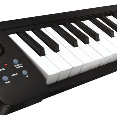 Korg microKey-25 Compact MiDi Keyboard.   Free Shipping! image 2