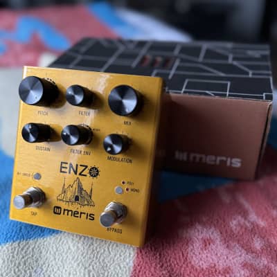 Meris Enzo w/ Preset Switch | Reverb