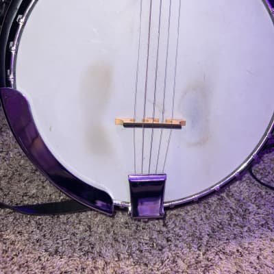 Fender 5 string banjo image 2