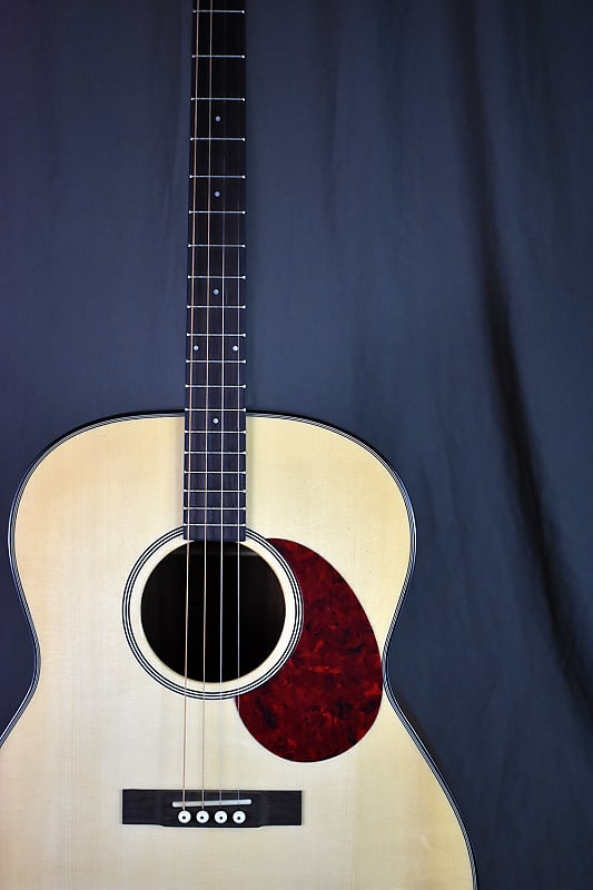 Gold Tone Mastertone TG-18: Tenor Guitar image 1
