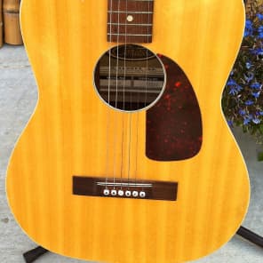 Contessa guitars top