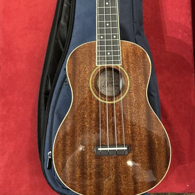 Daniel ho deals st concert ukulele