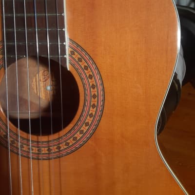 Hohner HC30 Classical Guitar Solid Sitka Top Ovangkol Back and Sides image 16