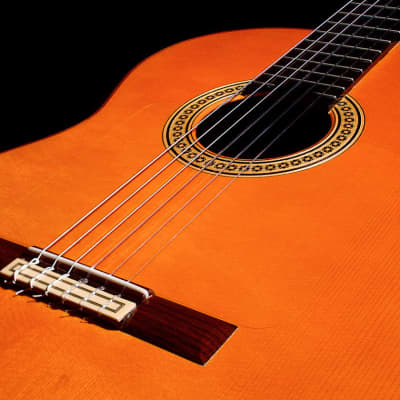 Conde Hermanos AF 25 2006 Flamenco Guitar Spruce/Indian Rosewood image 4