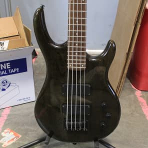 Epiphone Embassy 5 String