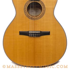 2010 Taylor NS34ce Acoustic Reverb