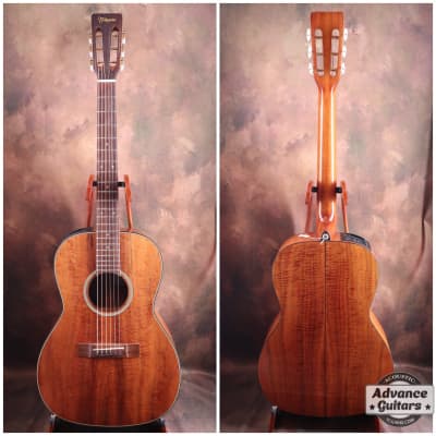 Takamine PT100SP | Reverb