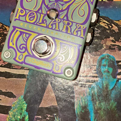 DigiTech Polara Reverberator | Reverb