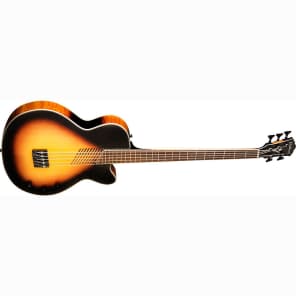 Washburn AB45VSK 5-String Acoustic-Electric Bass Guitar Vintage Sunburst image 1