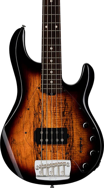 Sterling StingRay 5 RAY35 5-String Spalted Maple Bass Guitar, Rosewood Fingerboard, 3-Tone Sunburst image 1
