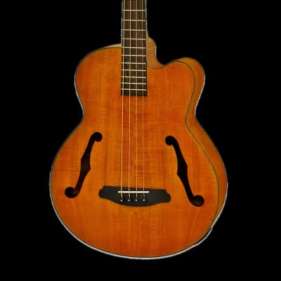 Aria FEB-F2M-STBR Medium Scale Fretted Stained Brown Acoustic Bass for sale