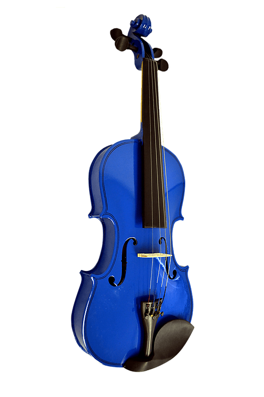 Bridgecraft violin 2024