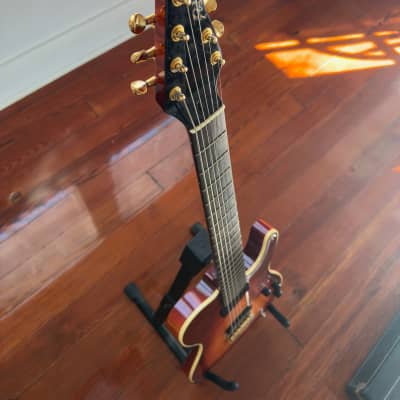 Jimmy Foster Performer 7-String Custom image 8
