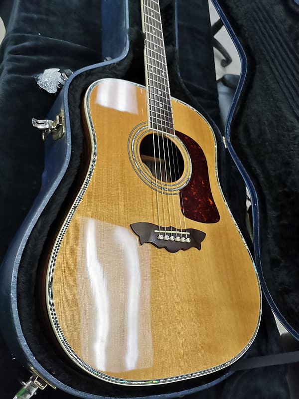 Washburn limited edition acoustic shop guitar