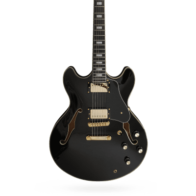 Fernandes BURNY MG-80X （MG-120X）BLK Fernandes Burny MG 120X Hide Signature Guitar - YouTube