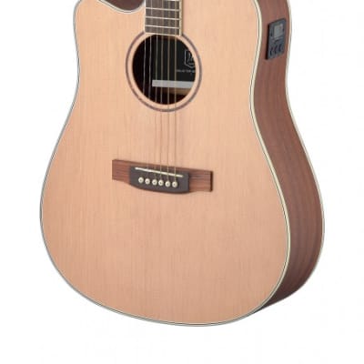 James Neligan ASY-DCE LH Dreadnought Cutaway Solid Spruce Top 6-String Acoustic-Electric Guitar Left image 1