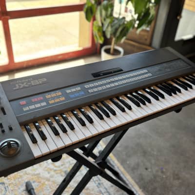 Roland JX-8P 61-Key Polyphonic Synthesizer 1984 - 1986 - Black