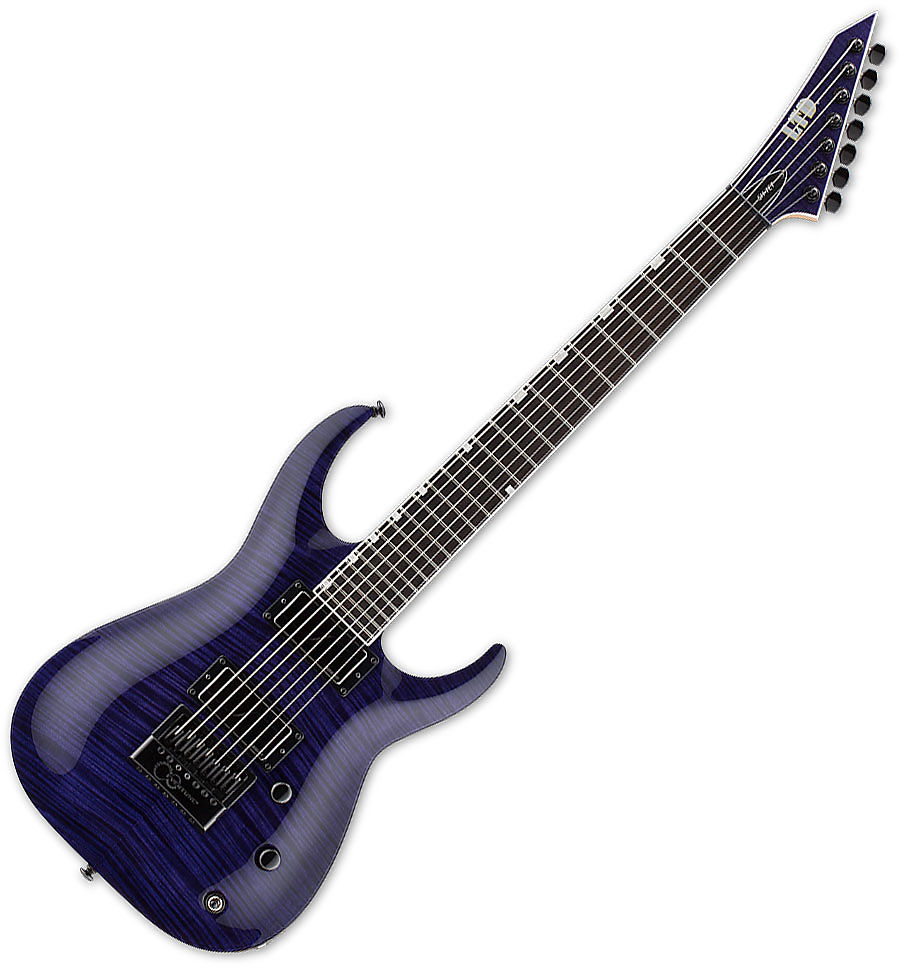 Sir headly shop guitar