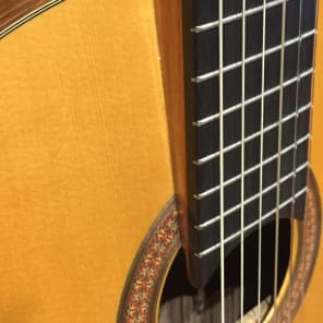 Martin C-TSH Martin-Humphrey Nylon Classical Elevated fingerboard rare & unique guitar image 6
