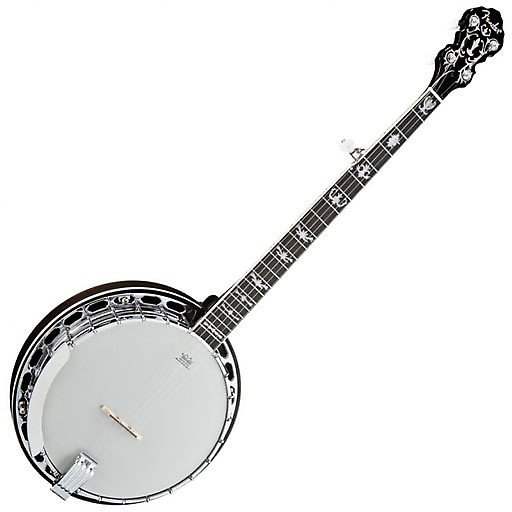 Fender banjo for sale deals