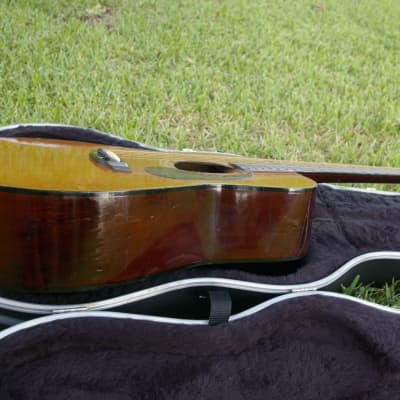 Trump Dreadnought with Vintage Case image 14