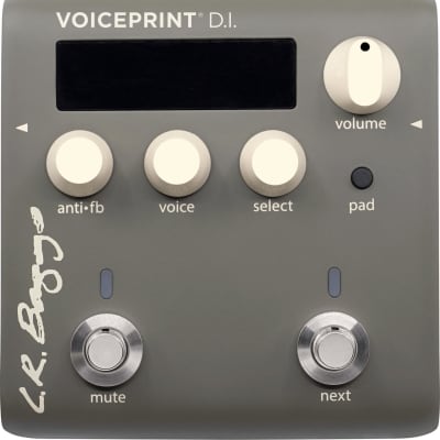 Voiceprint DI Acoustic Guitar Impulse Response Pedal — LR Baggs