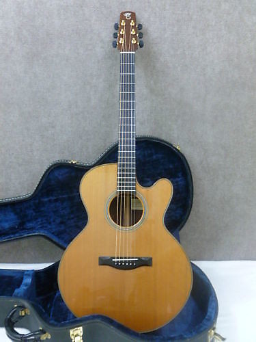 Santa Cruz FS Fingerstyle Guitar Imaculate ! OHSC Semi Jumbo 96 Natural image 1