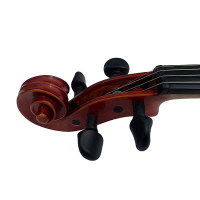 Wood Violins Concert Deluxe 2010s - Colibri Demo model image 9