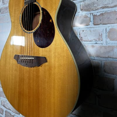 Breedlove C250/SBe Acoustic Electric Guitar (Las Vegas,NV) image 7