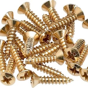 Fender Pickguard / Control Plate Mounting Screws (24) image 2