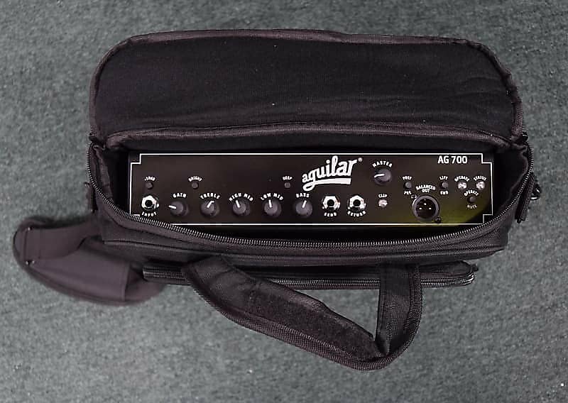 Aguilar AG 700 / Tone Hammer 700 Carry Bag | Reverb