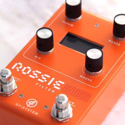 GFI SYSTEM ROSSIE FILTER 格安美品　サチモス GFI SYSTEM ( ジーエフアイシステム ) ROSSIE FILTER 送料無料