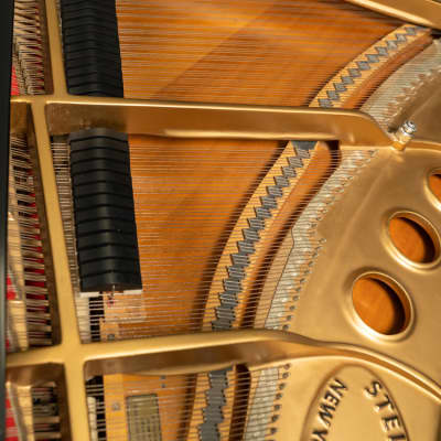 Steinway & Sons 5'7" Model M Grand Piano | Satin Ebony | SN: 466703 image 5