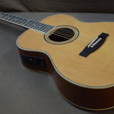 Tanara TGC-120ENT  Acoustic/Electric Guitar 2020's Natural Gloss Finish image 2