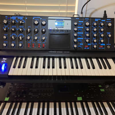 Moog Minimoog Voyager Electric Blue Edition 44-Key Monophonic Synthesizer - Black Cabinet