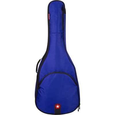 Roadrunner acoustic guitar discount case