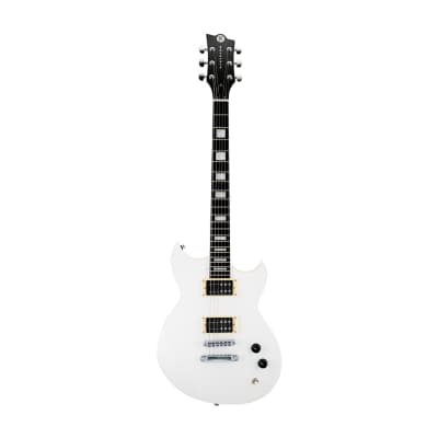 Reverend Robin Finck Signature