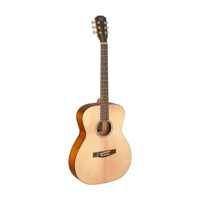Acoustic Guitar JAMES NELIGAN Bes AN - Auditorium- solid spruce top for sale