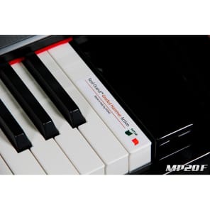 Kurzweil Kurzweil MP20F Regular Ebony Polish