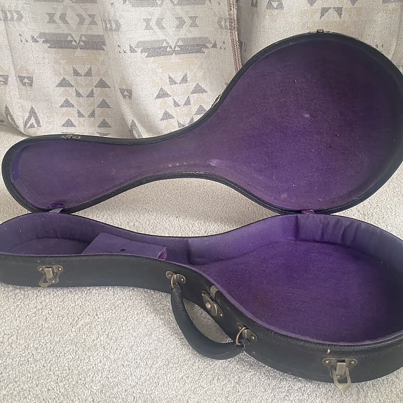 Gibson mandolin best sale case